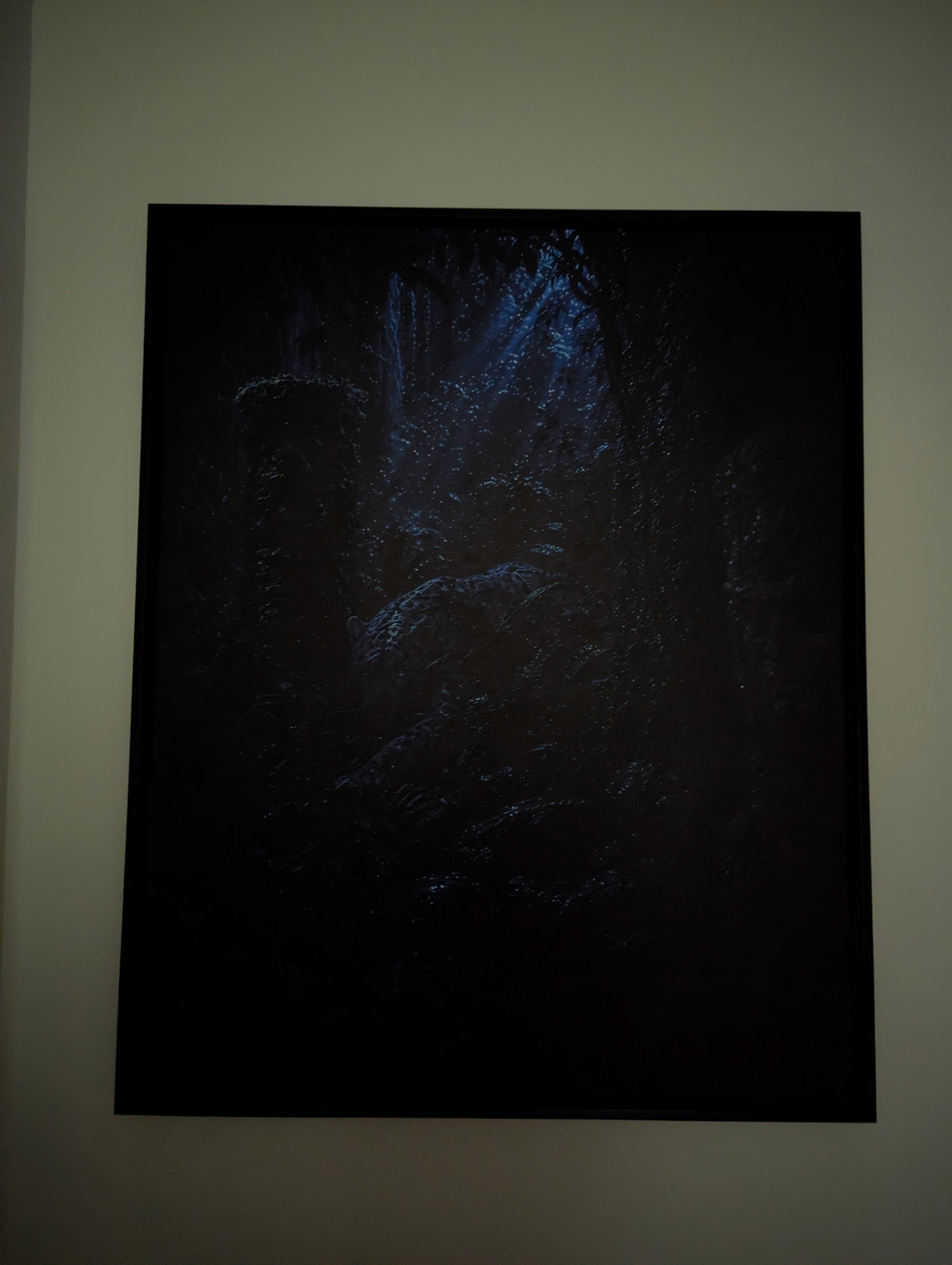 Veilith 24×30 framed canvas in dim light — detail hidden